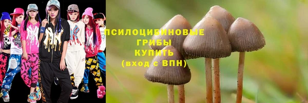 шишки Вяземский