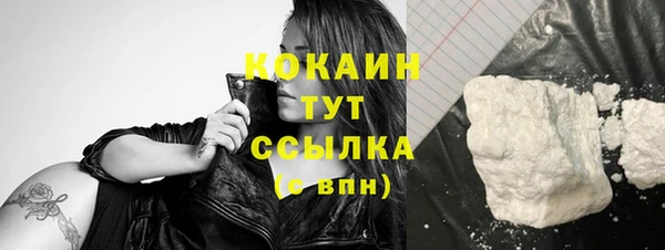 шишки Вяземский