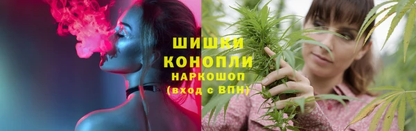 шишки Вяземский