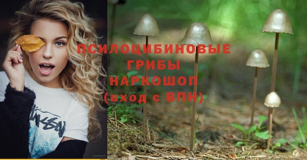 амф Вязники