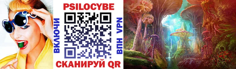 darknet клад  Ярославль  Галлюциногенные грибы GOLDEN TEACHER  купить наркоту 